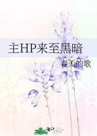 主HP来至黑暗